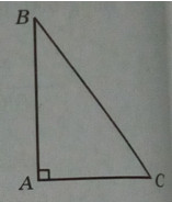Giải bài tập SBT Toán 12 bài 3