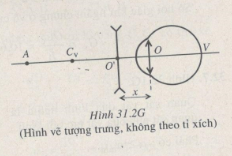 Giải bài tập SBT Vật lý 11 bài 31