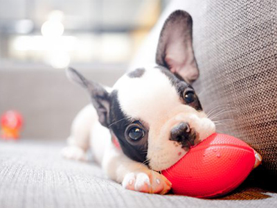 Tiếng Anh 2 Unit 1