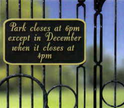 Reading B1 Level Test