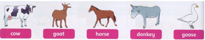 Giải bài tập tiếng Anh lớp 3