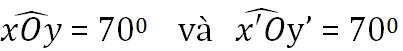 Giải bài tập SGK Toán lớp 7 bài 1: Hai góc đối đỉnh