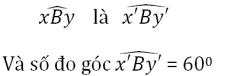 Giải bài tập SGK Toán lớp 7 bài 1: Hai góc đối đỉnh