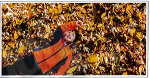 Giải bài tập tiếng Anh lớp 4