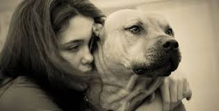 Câu đố kinh dị