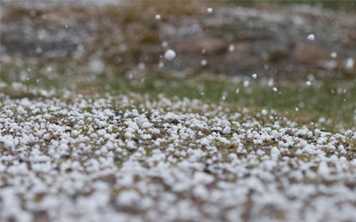 Trắc nghiệm Từ vựng Tiếng Anh