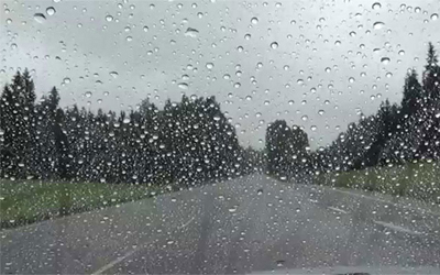 Trắc nghiệm Từ vựng Tiếng Anh