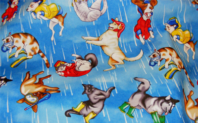 Trắc nghiệm Từ vựng Tiếng Anh 