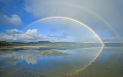 Trắc nghiệm Từ vựng Tiếng Anh