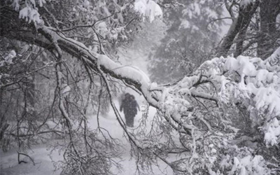 Trắc nghiệm Từ vựng Tiếng Anh