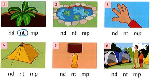 Giải bài tập tiếng Anh lớp 4