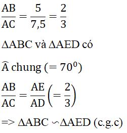 Giải bài tập SGK Toán lớp 8 bài 6: Trường hợp đồng dạng thứ hai