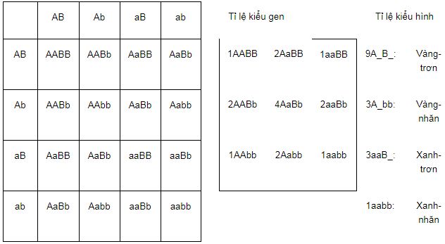 Tóm tắt lý thuyết Sinh học 12 bài 9