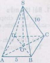 Giải bài tập SGK Toán lớp 8 bài 8: Diện tích xung quanh của hình chóp đều