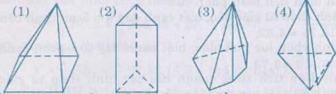 Giải bài tập SGK Toán lớp 8 bài 9: Thể tích của hình chóp đều