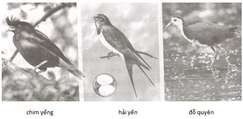 Giải vở bài tập Tiếng Việt lớp 5 tuần 8