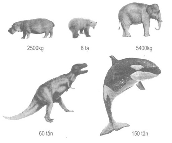 Giải vở bài tập Toán 5 bài 42
