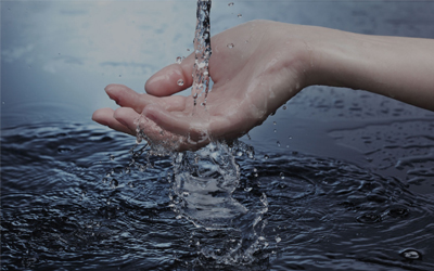 Đố vui Tiếng Anh