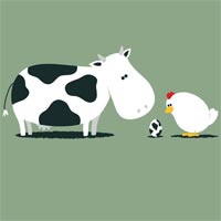 Tranh tô màu con bò cho bé