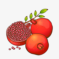 Tranh tô màu hoa quả cho bé