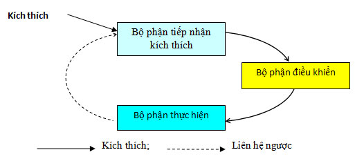 Sinh học 11