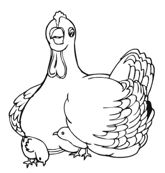 Tranh tô màu con gà đẹp nhất