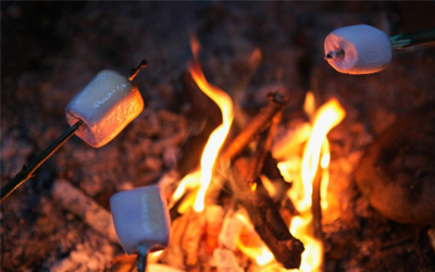 Trắc nghiệm Từ vựng Tiếng Anh 10 Unit 1