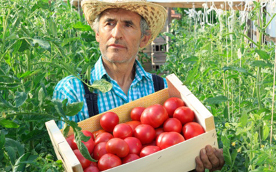 Trắc nghiệm Từ vựng Tiếng Anh 10 Unit 1