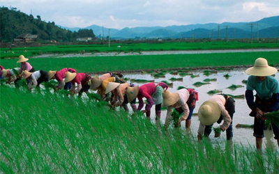 Trắc nghiệm Từ vựng Tiếng Anh 10 Unit 1