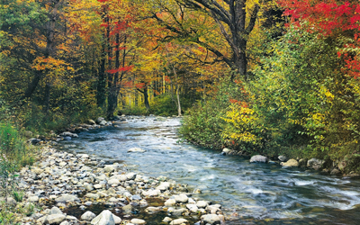 Trắc nghiệm Từ vựng Tiếng Anh 10 Unit 1