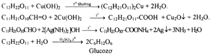Giải bài tập Hóa 12 nâng cao bài 6