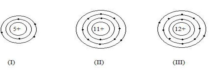 Trắc nghiệm Hóa học 8