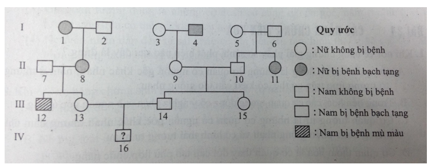 Trắc nghiệm Sinh học 12: Ôn tập chương 3, 4, 5