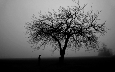 Từ vựng Tiếng Anh lớp 11 Unit 1