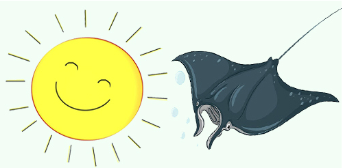 Đố vui Tiếng Anh