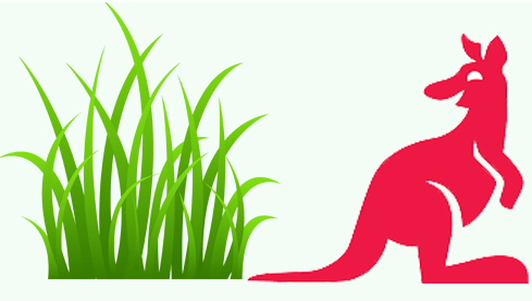 Đố vui Tiếng Anh