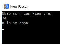 Giải bài tập SGK Tin học 8 bài 6: Câu lệnh điều kiện