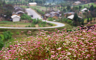 Từ vựng Tiếng Anh lớp 8 Unit 1