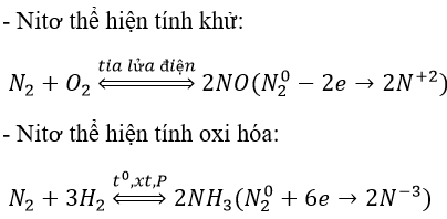 Giải bài tập Hóa 11 nâng cao bài 10
