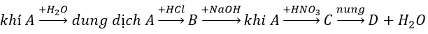 Giải bài tập Hóa 11 nâng cao bài 11