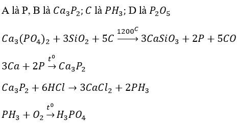 Giải bài tập Hóa 11 nâng cao bài 14