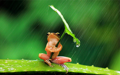 Trắc nghiệm tính cách