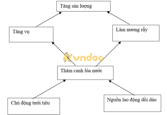 Giải bài tập SGK Địa lý 7 bài 8: Các hình thức canh tác trong nông nghiệp ở đới nóng