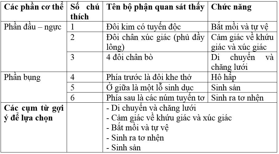 Giải bài tập SGK Sinh học 7 bài 25: Nhện và sự đa dạng của lớp hình nhện
