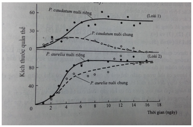 Trắc nghiệm Sinh học 12 bài 38