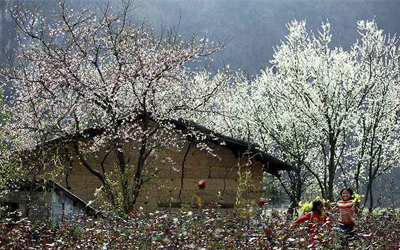 Trắc nghiệm kiến thức tổng hợp