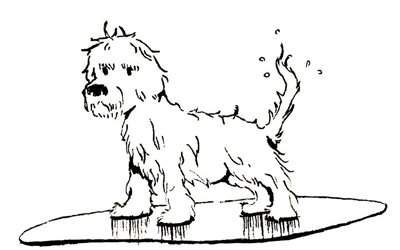 Từ vựng Tiếng Anh lớp 7 Unit 2