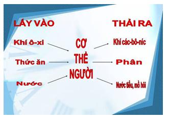 Giải Vở bài tập Khoa học lớp 4 bài 2