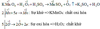 Giải bài tập Hóa 10 nâng cao bài 45
