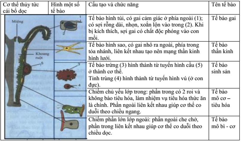 Giải bài tập VBT Sinh học 7 bài 8